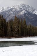 Forest mountains snow view