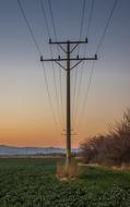 Electricity Power lines at sunset