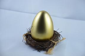 The golden egg in the nest