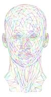 abstract 3d face drawing