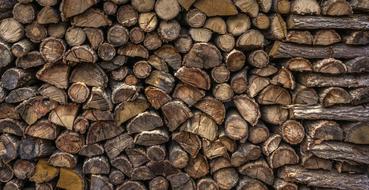 Woods Log Firewood