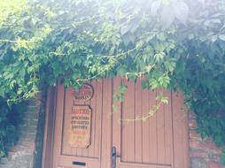 wooden door with bushes