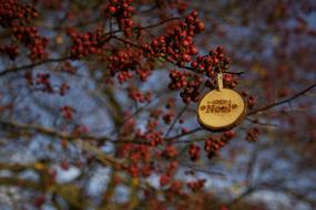 red berries with wooden decoration