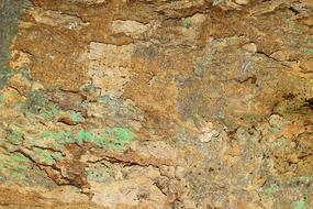 grunge brown and green Texture as background