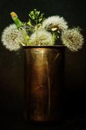 dandelions in an iron jar