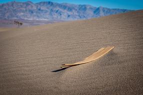 Sand Wood Desert texture