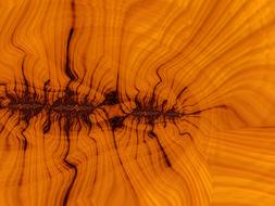 texture wood grain structure orange