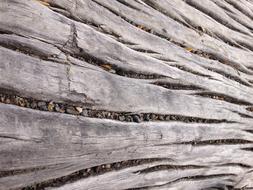 wooden white wall