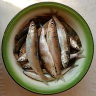 tasty fish on a plate