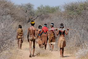 wild tribes of Africa