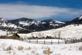 Yellowstone National Park Travel