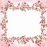 floral frame on white background