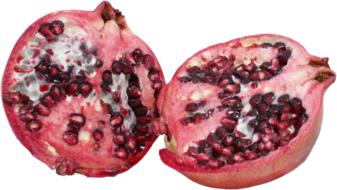 pomegranate fruit pips