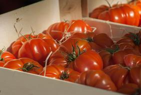 tomatoes in a box