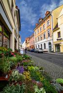 beautiful street with flowers