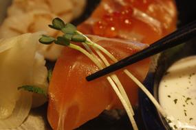 delicious fish sushi