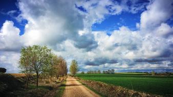 Clouds Road Trees