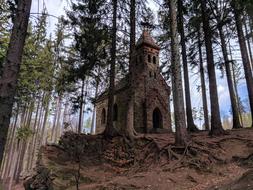 The old church in the forest