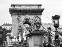 Hungary Bridge lion