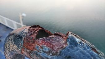 a rusty pipe by the water