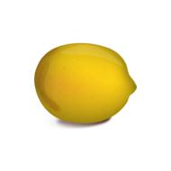 beautiful yellow lemon on a white background