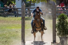 Portrait of Horse ride at Summer