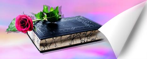 A black book with a big rose