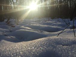 snowy landscape with the sun