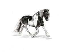horse drawing landscape view