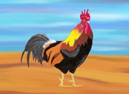 rooster drawing sand water