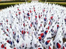 white Korean flags
