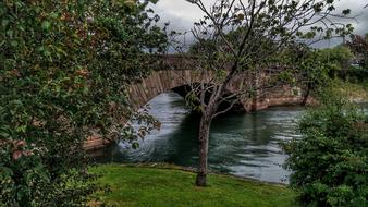 a bridge with trees and grasses