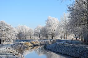 The snow the trees the lake is beautiful