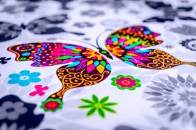 Butterfly Paint Colors