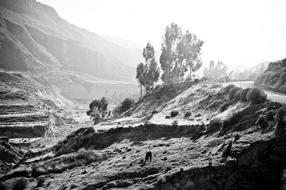 Peru stone mountain with trees