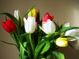 tulips bouquet in a vase in the house