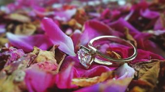 a ring on pink petals