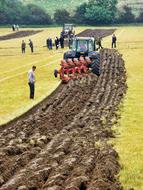 field people walking landscape