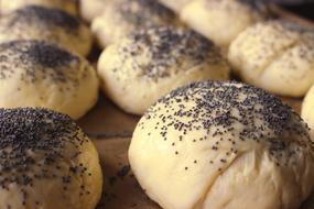 poppy seed buns are deliciously hot