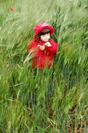 Child girl in Red clothing stands in green cereal field