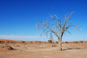 desert old water blue