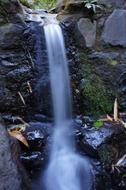 waterfall landscape forest