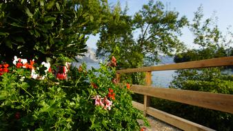 green grass with flowers bench