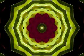 background abstract texture pattern green flower