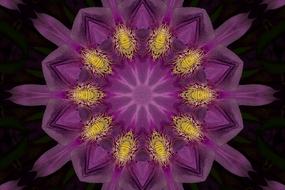 background abstract texture pattern purple flower