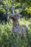 Statue Deer Wood forest