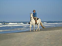 Horse rider on Beira Mar Beach