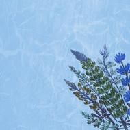 background scrapbooking texture water flower