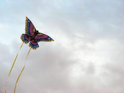 butterfly landscape view