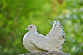 Dove Porcelain Decoration